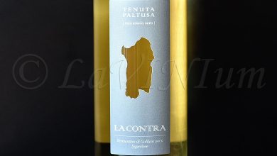 Vermentino di Gallura Superiore La Contra 2021 Tenuta Paltusa